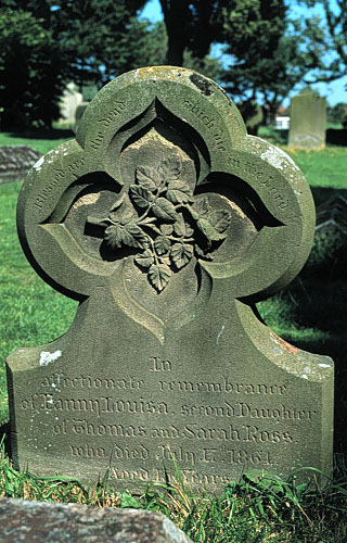stone wit leaves